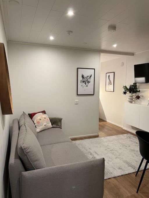 Arctic Circle Guesthouse 罗瓦涅米 外观 照片